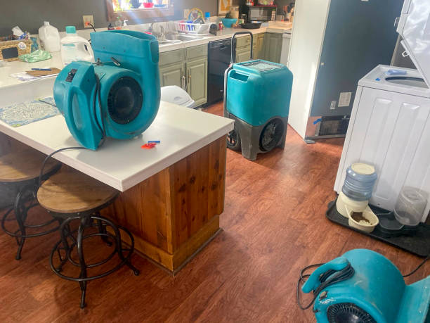 Best 24/7 water damage repair  in Washington Heights, NY
