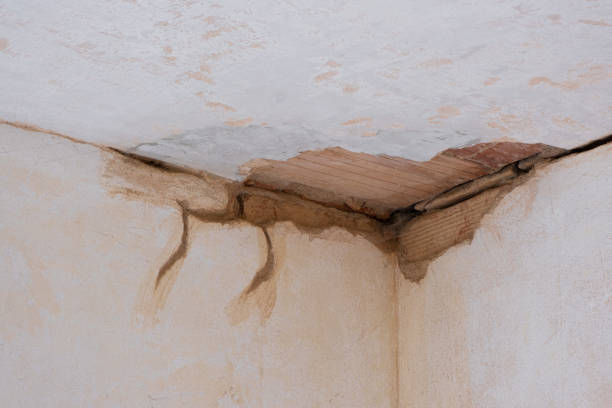 Best Mold removal after water damage  in Washington Heights, NY