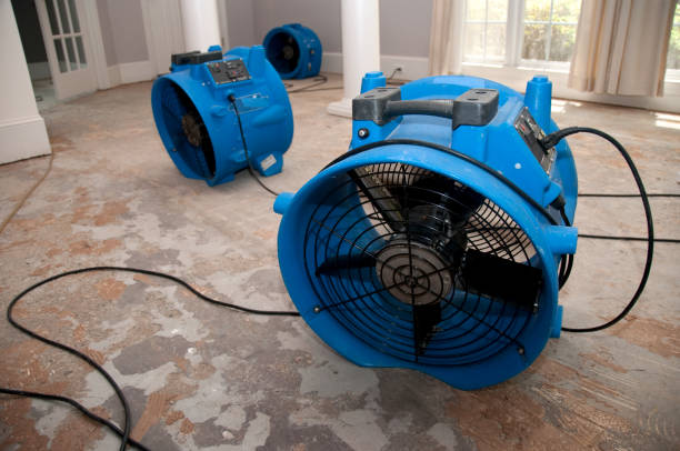 Best Fire Damage Restoration  in Washington Heights, NY