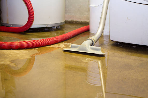 Best Water damage contractors near me  in Washington Heights, NY