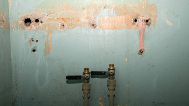 Best Water damage restoration near me  in Washington Heights, NY