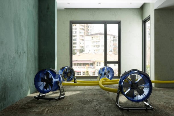 Best Commercial water damage restoration  in Washington Heights, NY